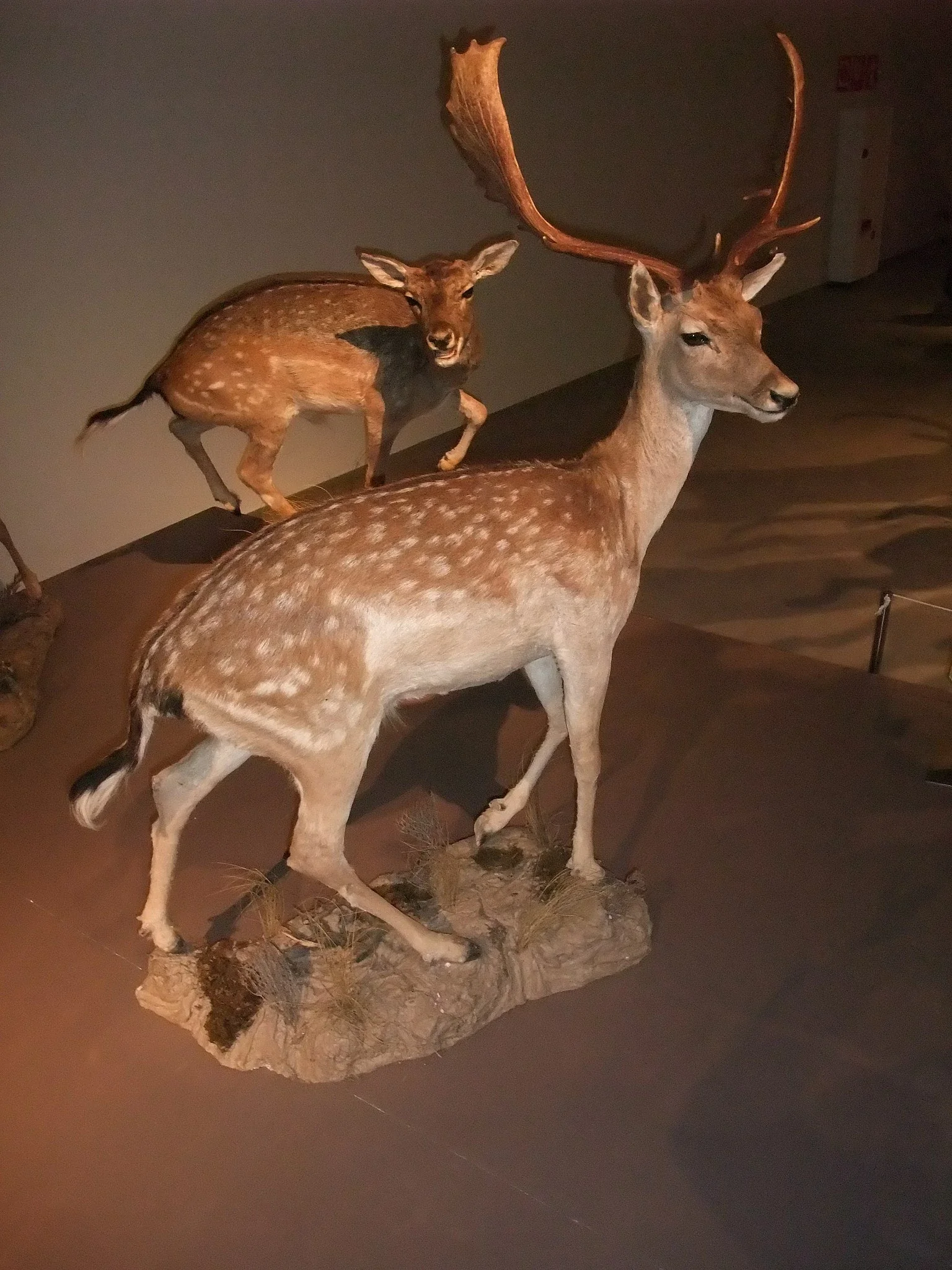 Science Park Granada