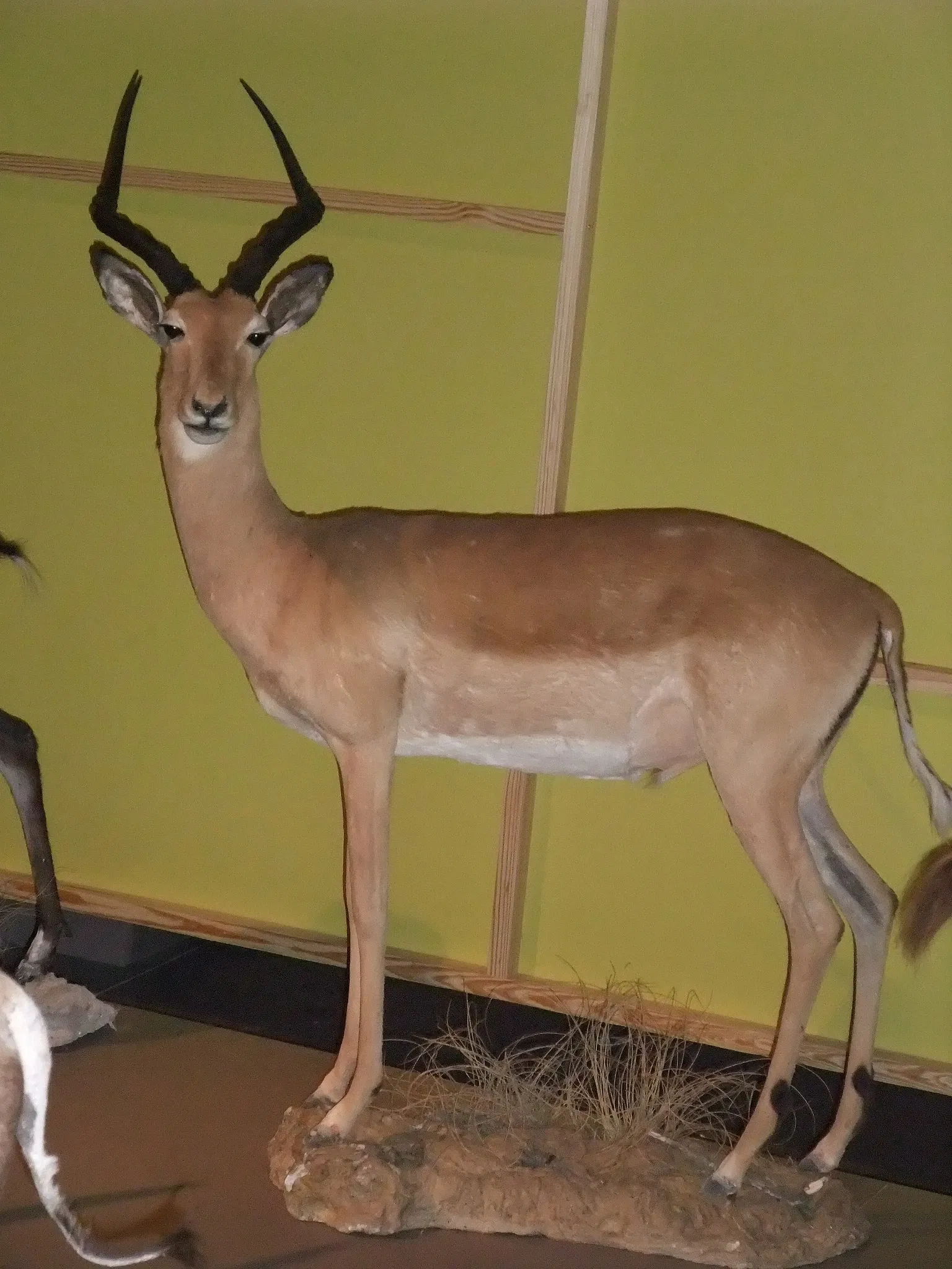 Parque de las Ciencias