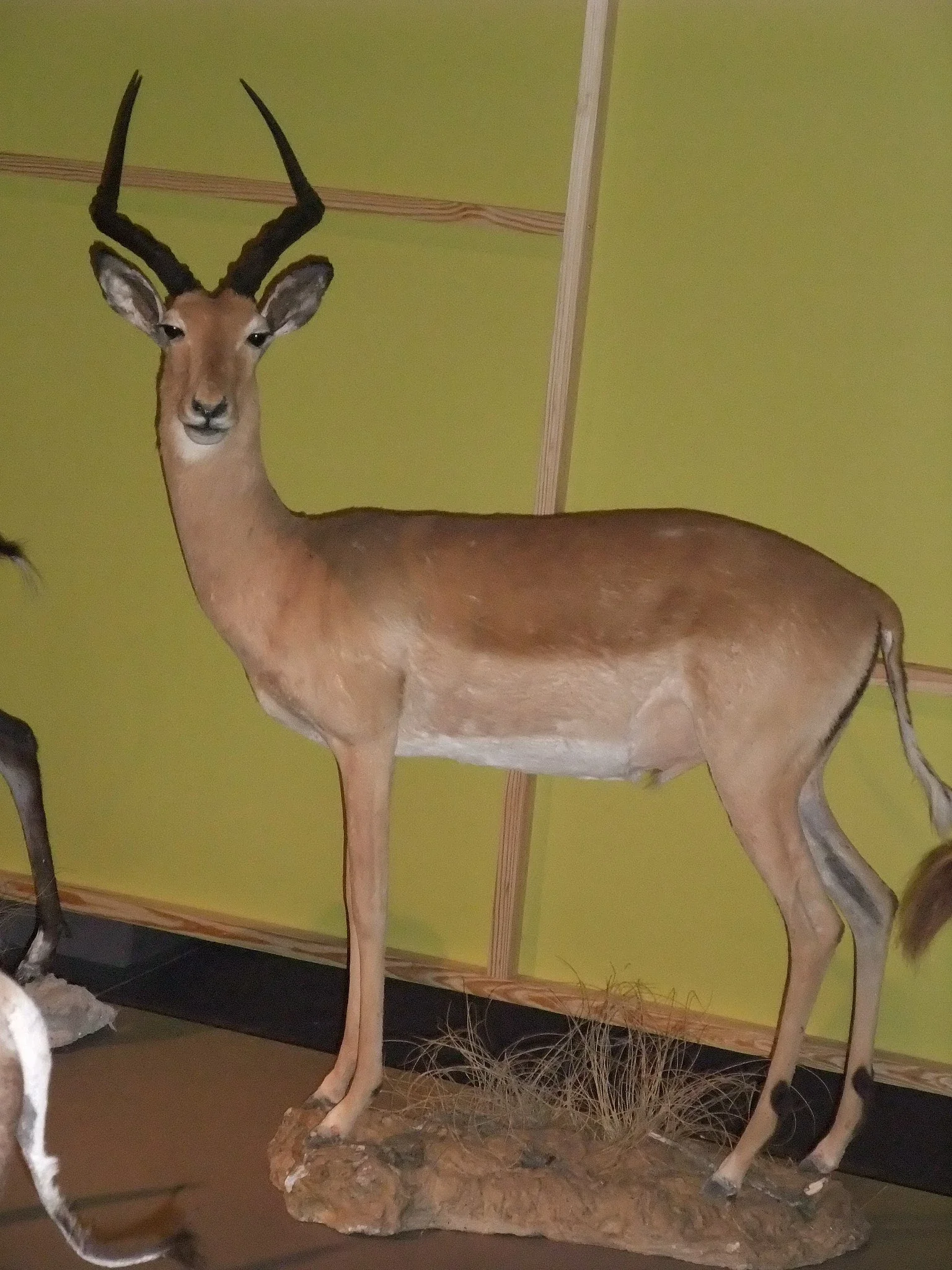 Science Park Granada