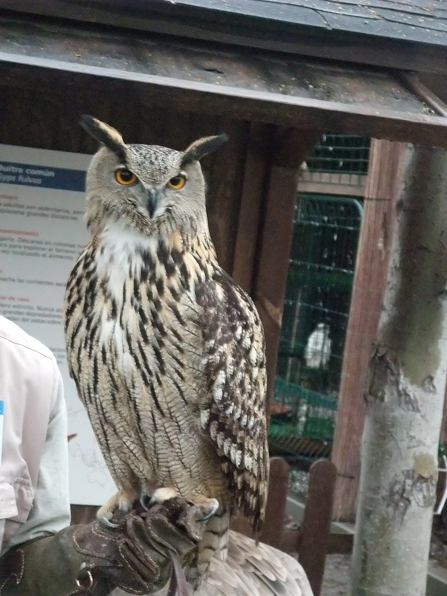 Parque de las Ciencias