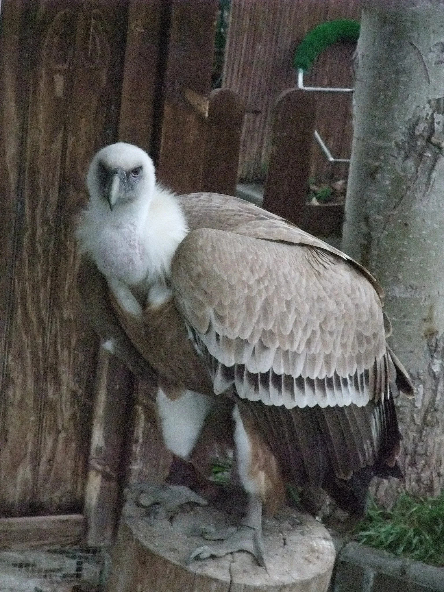 Science Park Granada