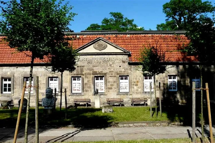 Museum Heineanum