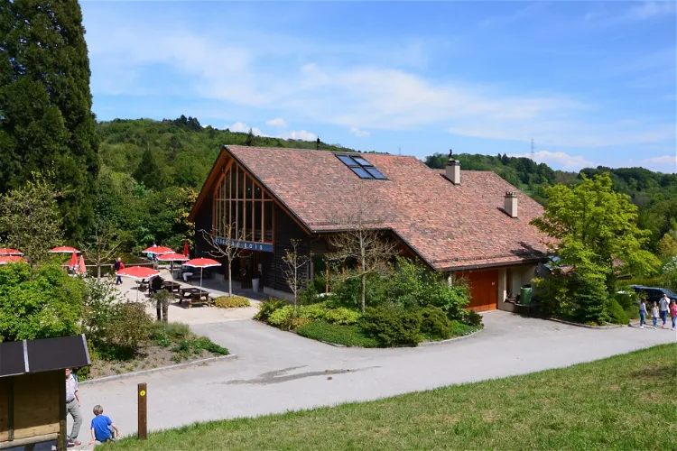 Musée du Bois