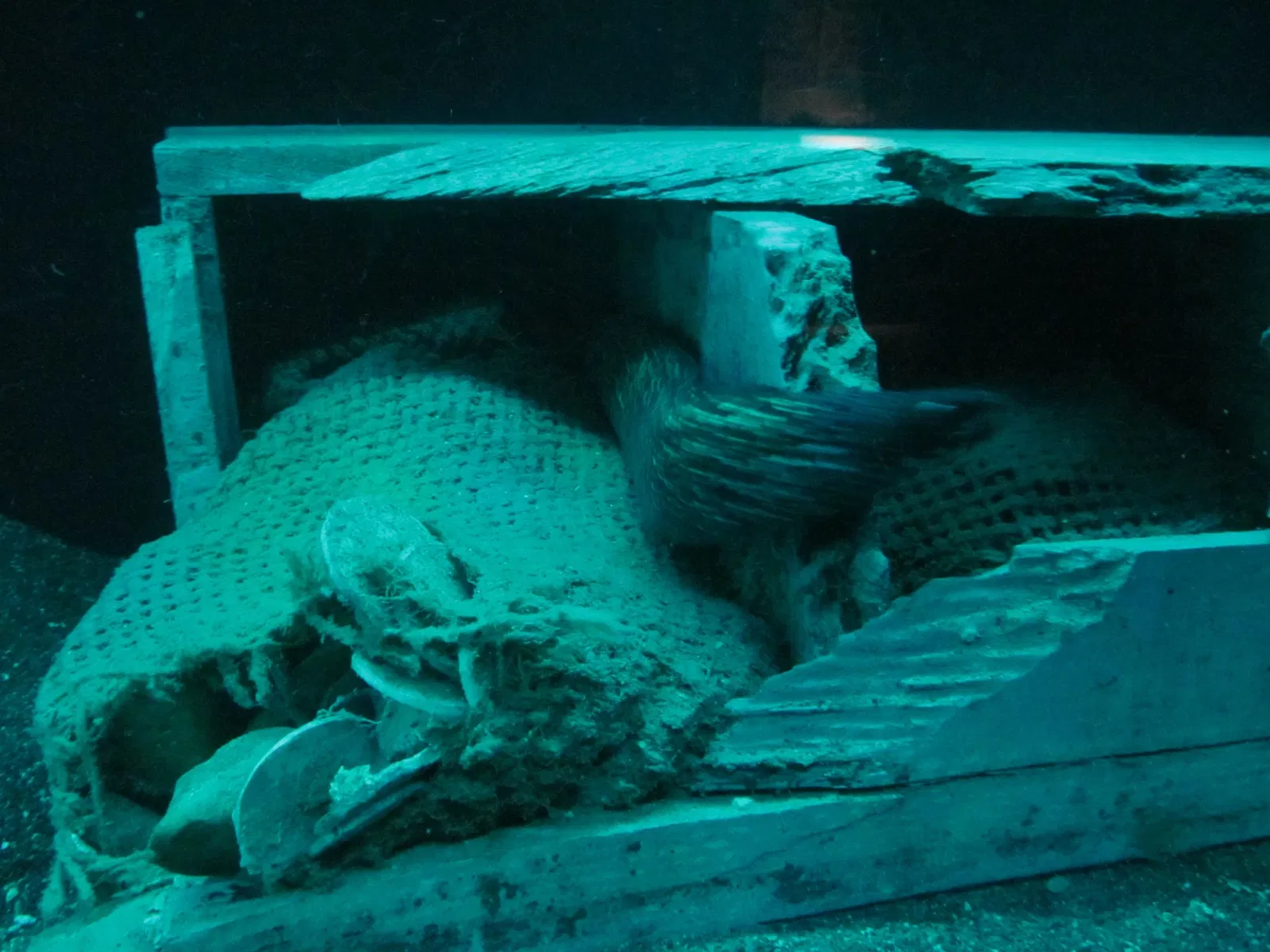 Museo Nacional de Arqueología Subacuática