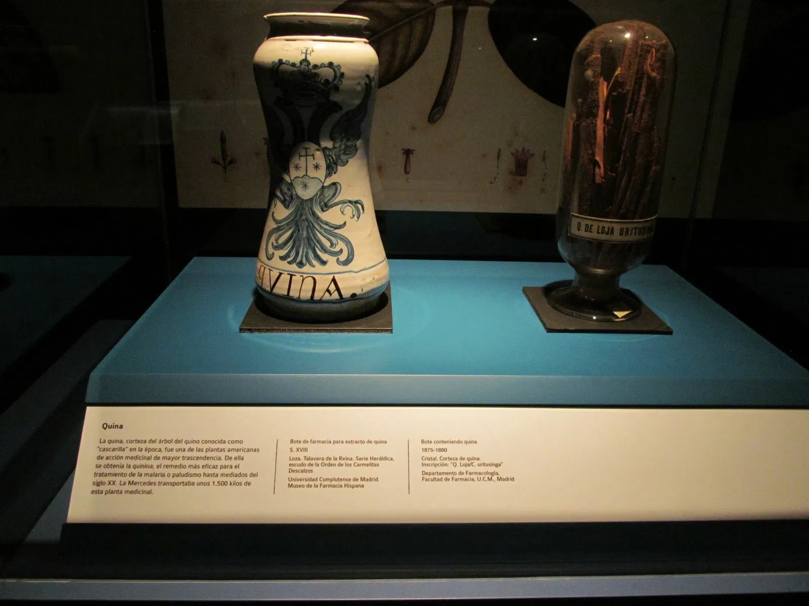 Museo Nacional de Arqueología Subacuática