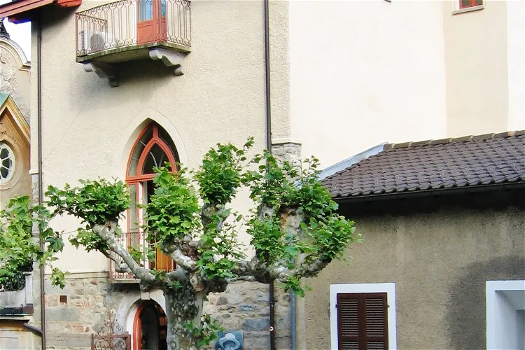 Hermann Hesse Museum