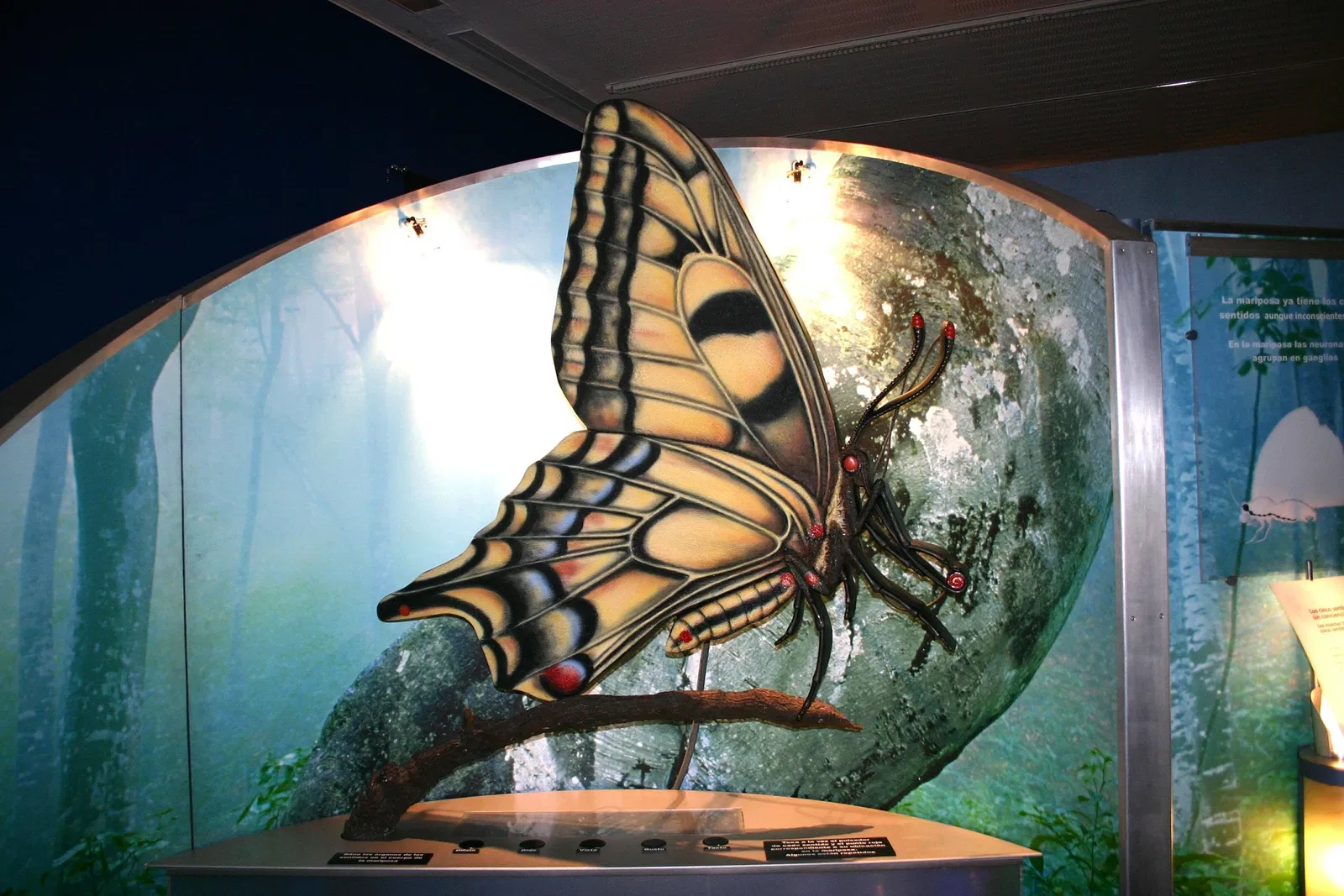 Museo della scienza di Valladolid