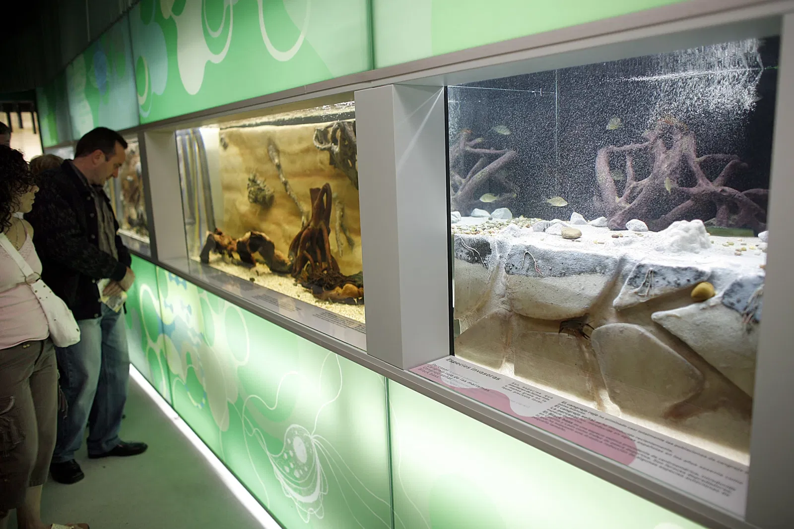 Museo della scienza di Valladolid