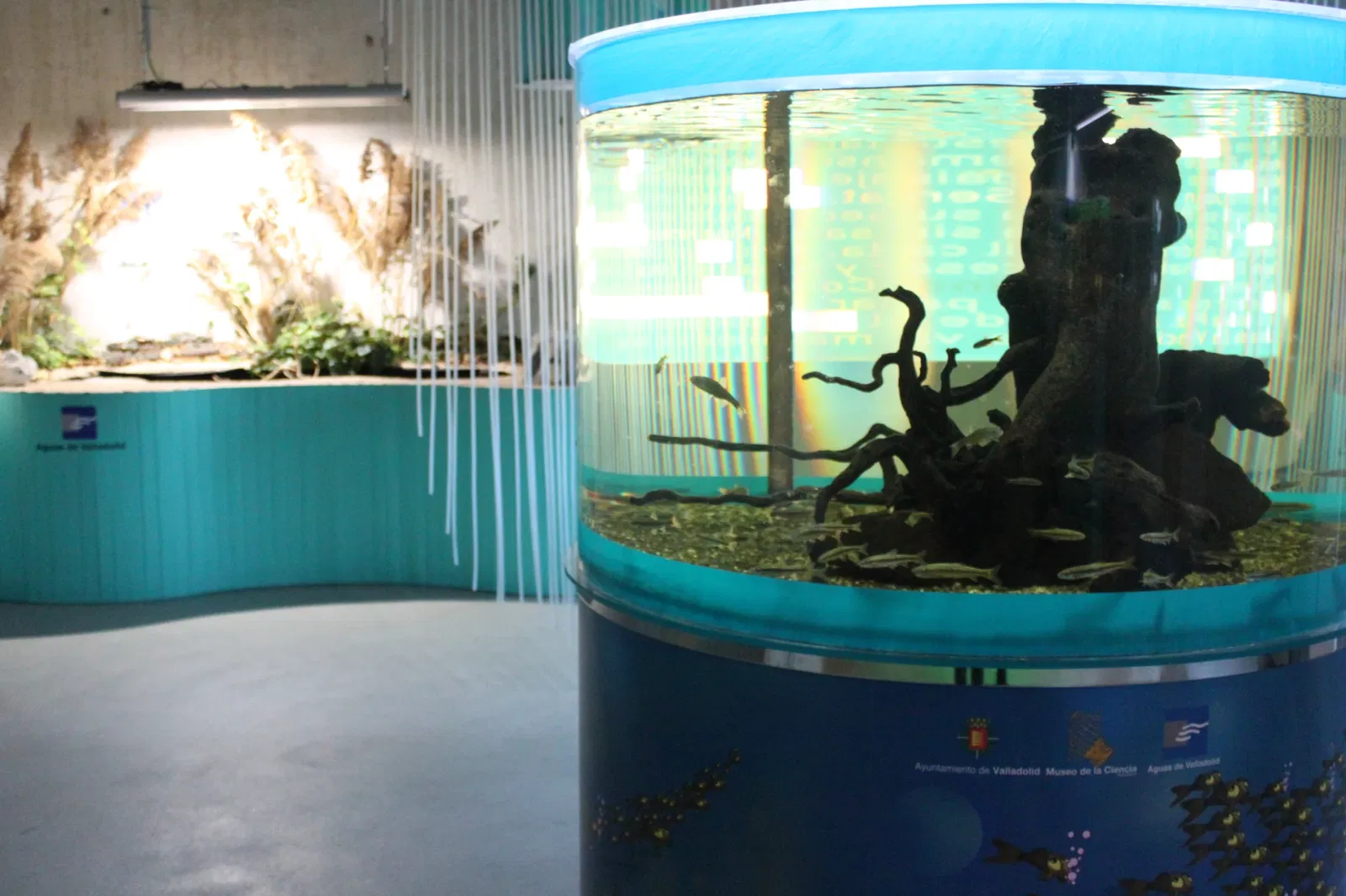 Valladolid Science Museum