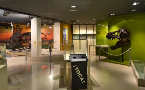 Museo Paleontológico de Elche