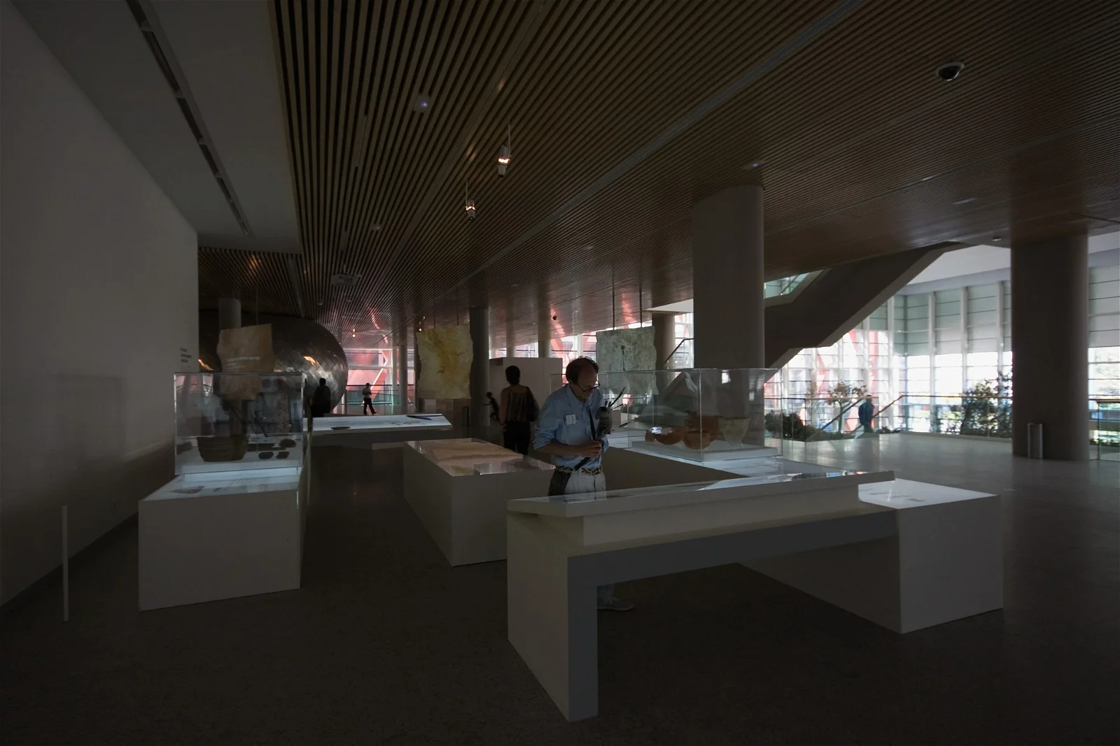 Museum of Human Evolution