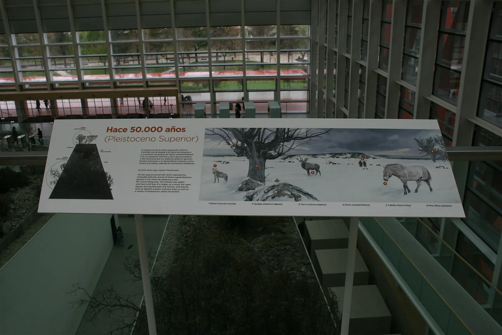 Museum of Human Evolution