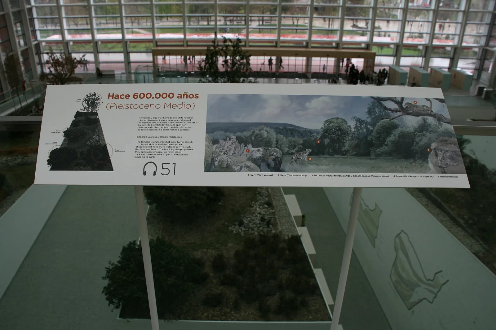 Museum of Human Evolution