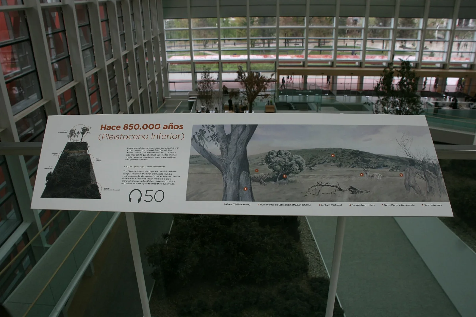 Museum of Human Evolution