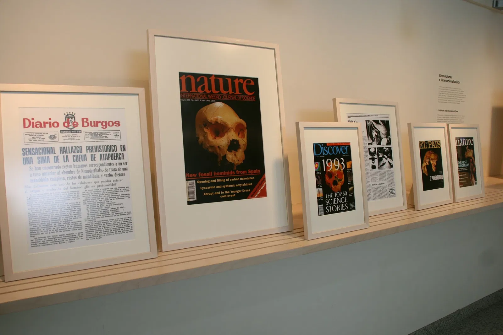 Musée de l'Évolution humaine