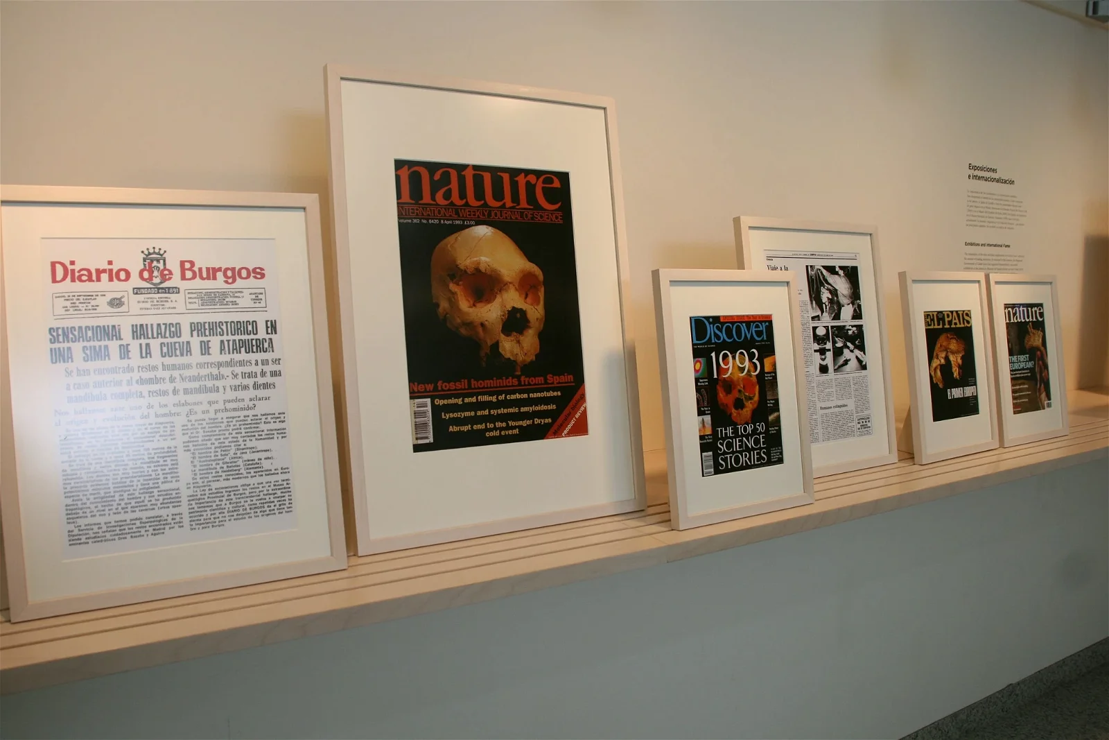 Museum of Human Evolution