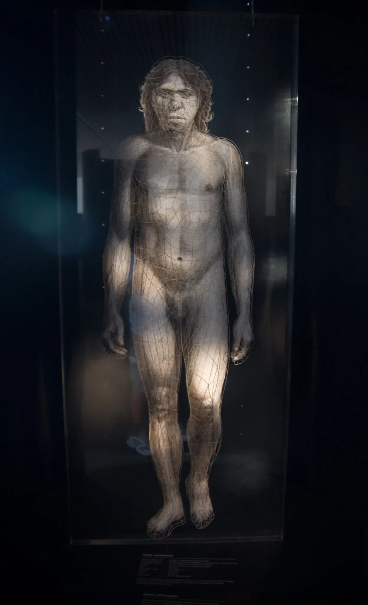 Musée de l'Évolution humaine