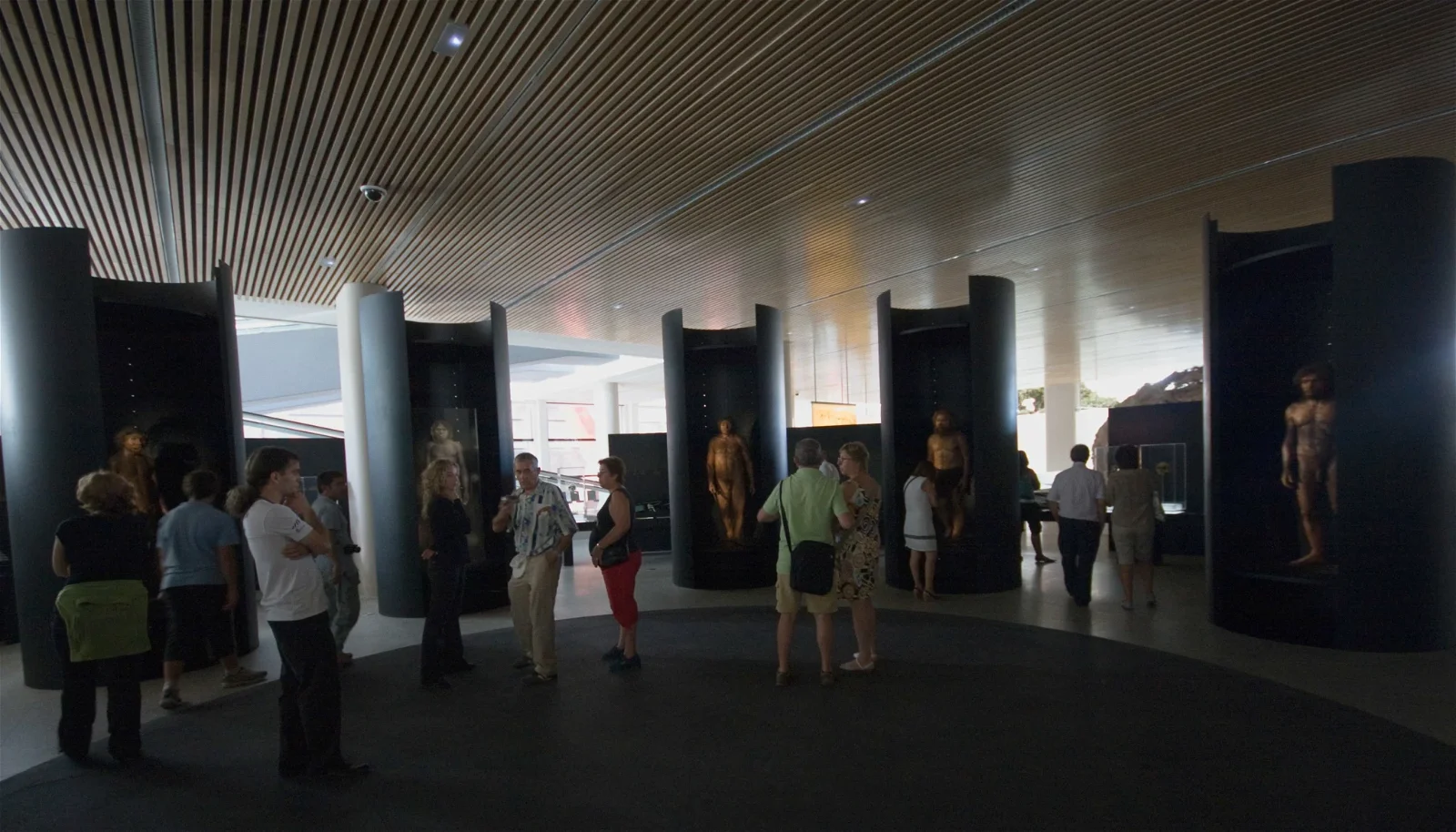 Museum of Human Evolution