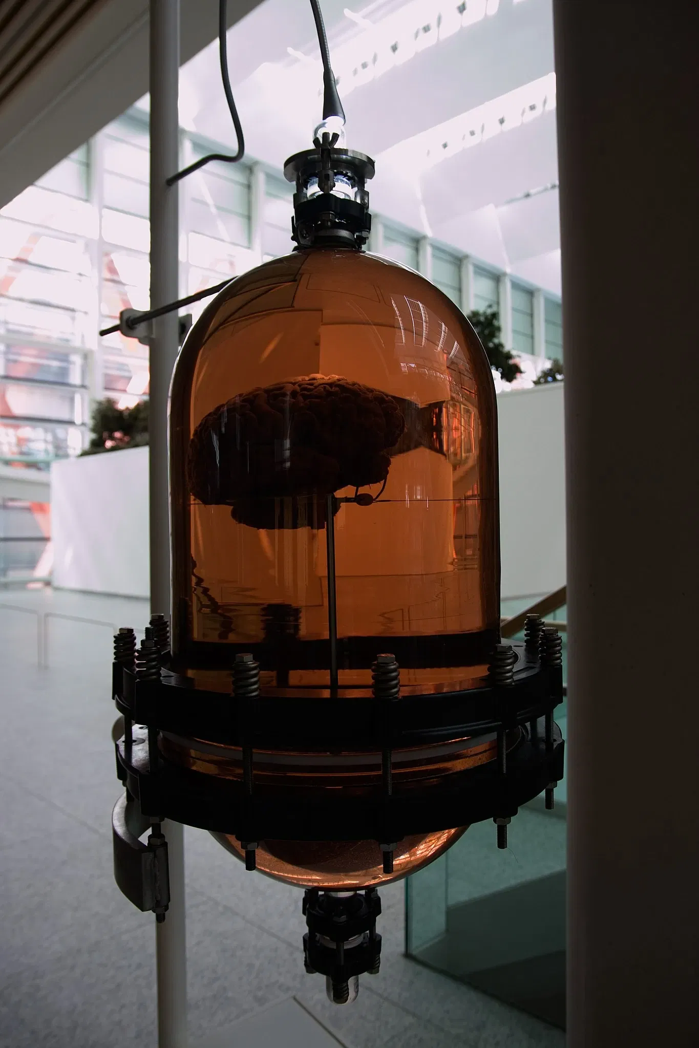 Museo de la Evolución Humana