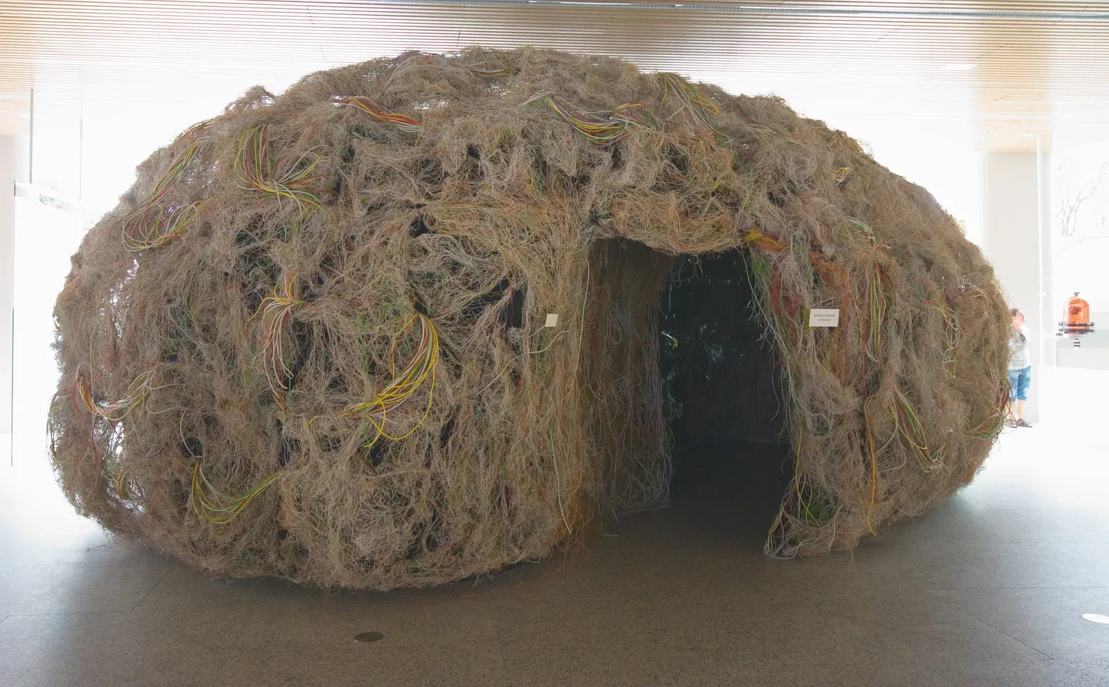 Museo de la Evolución Humana