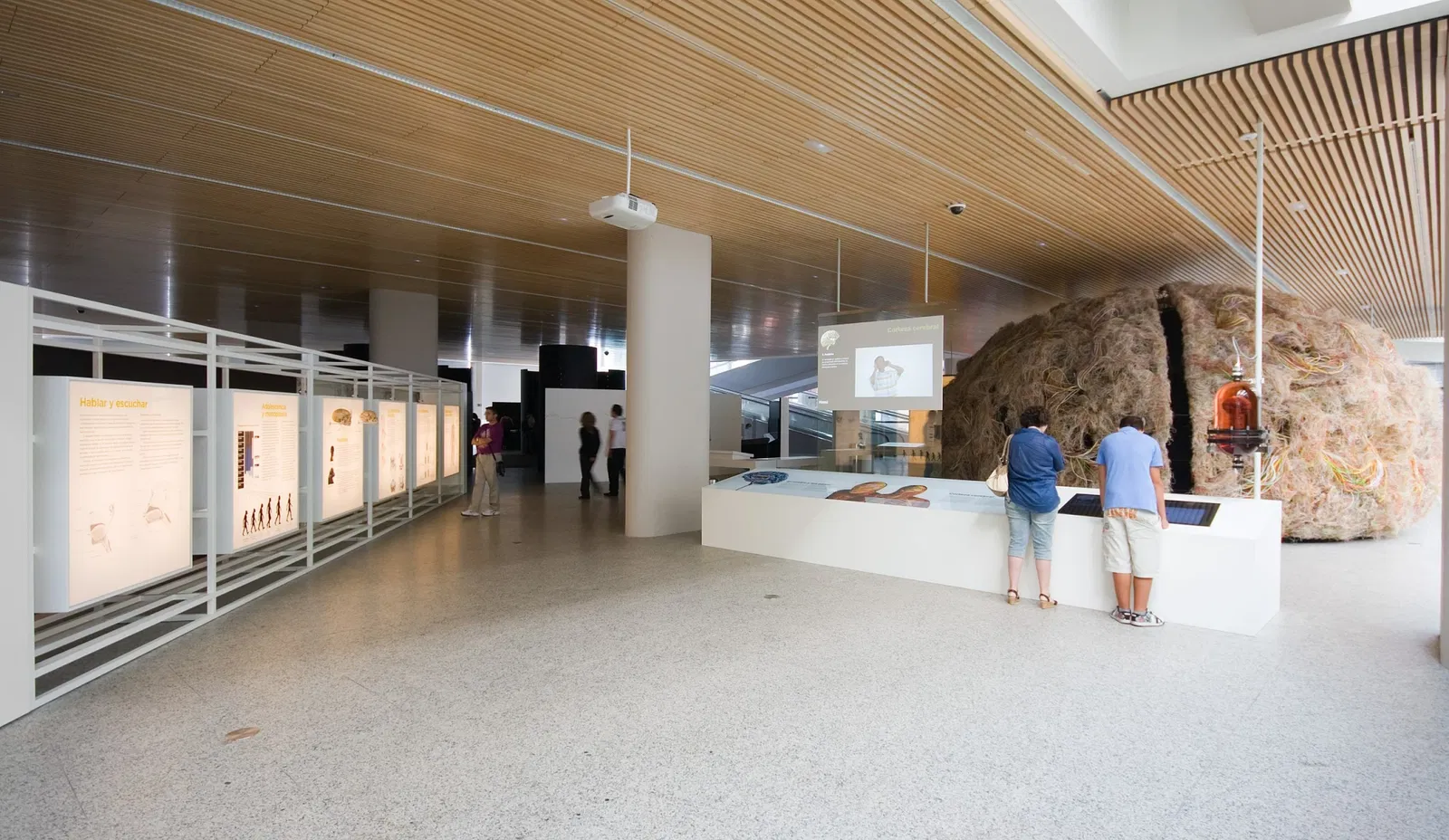 Museo de la Evolución Humana