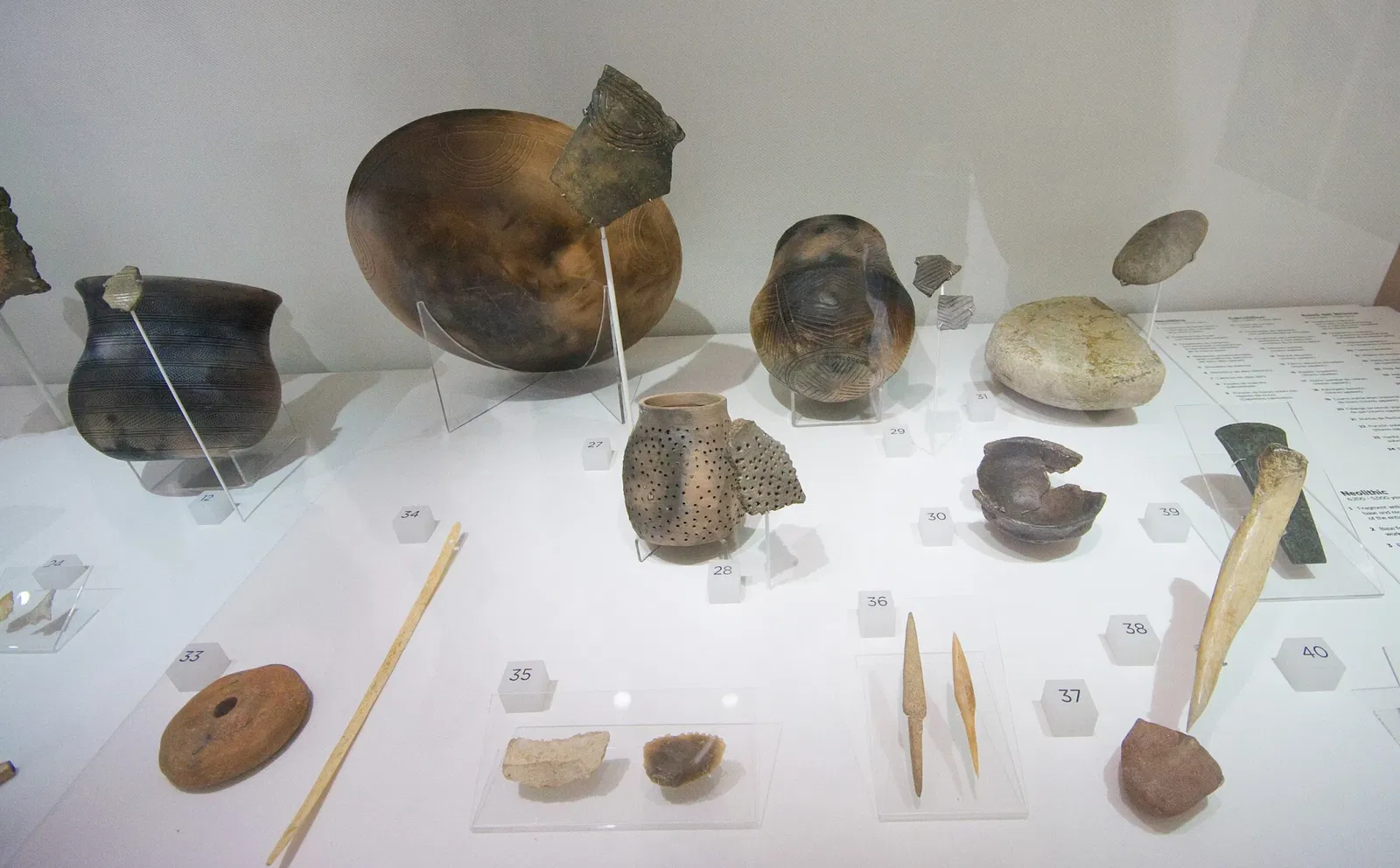Museo de la Evolución Humana