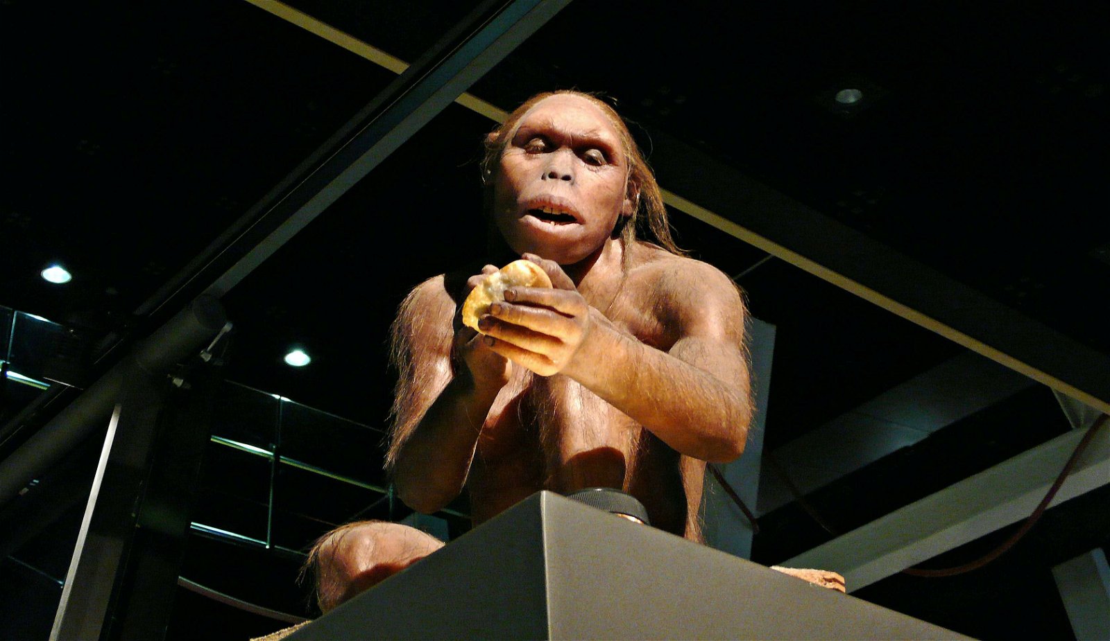 CosmoCaixa Barcelona