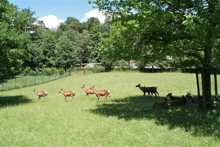 Wildnispark Zurich