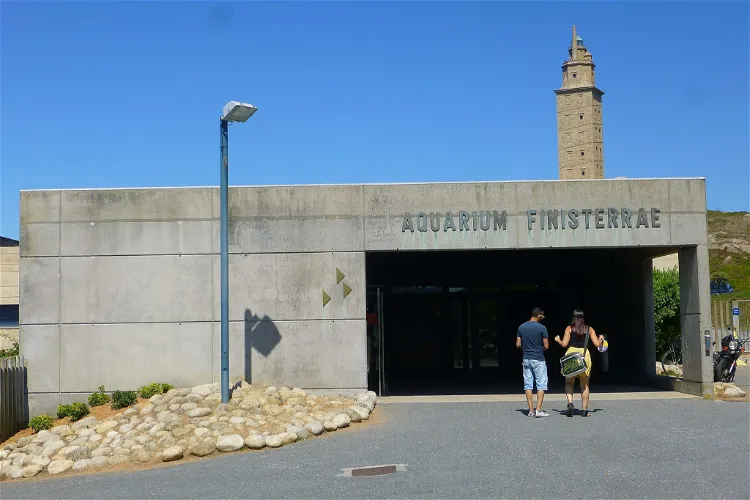 Aquarium Finisterrae