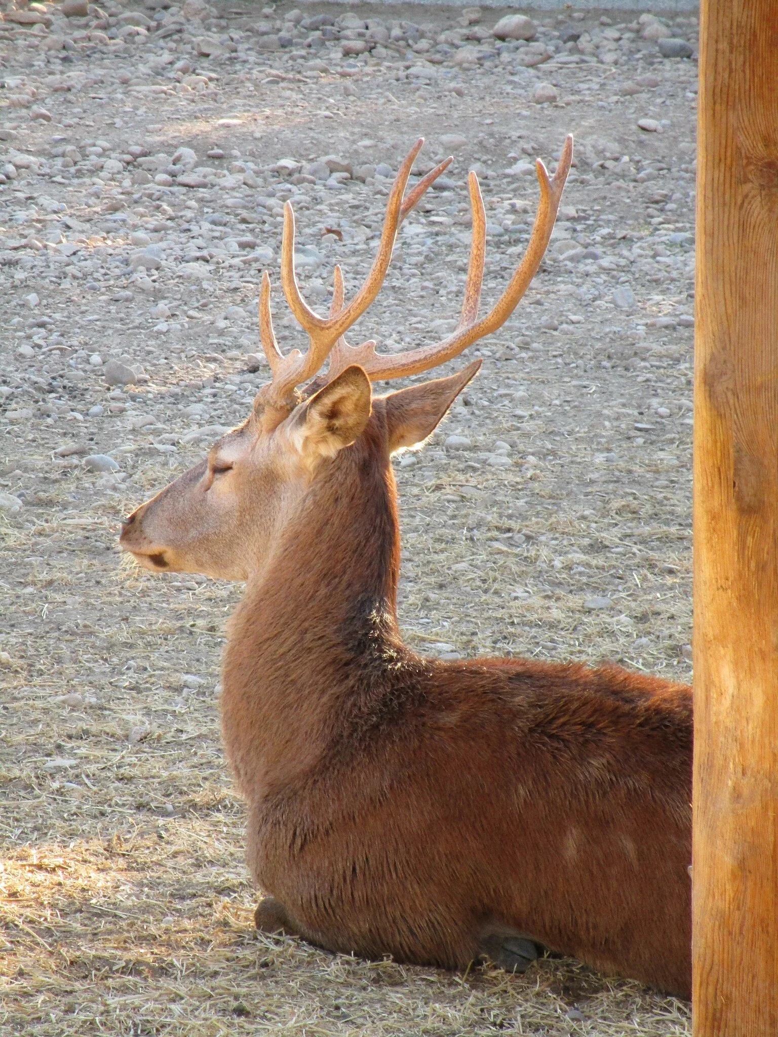 Sendaviva - Natural Park of Navarra