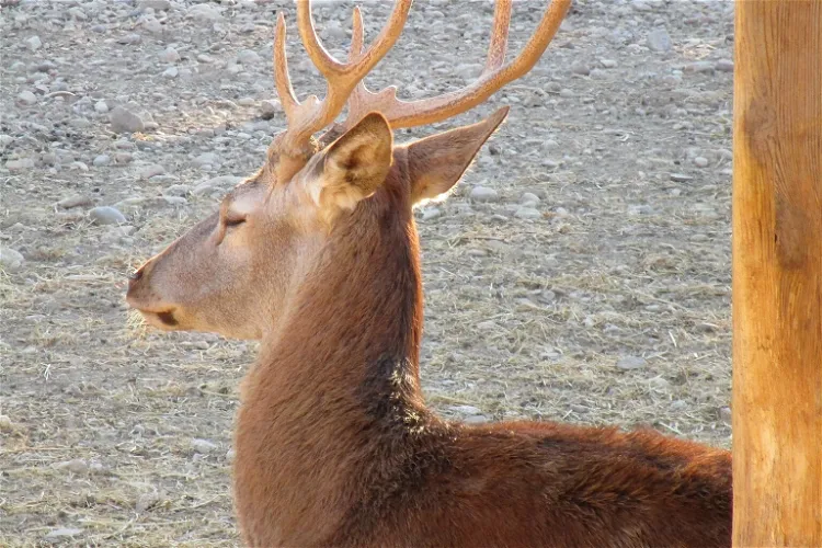 Sendaviva - Natural Park of Navarra