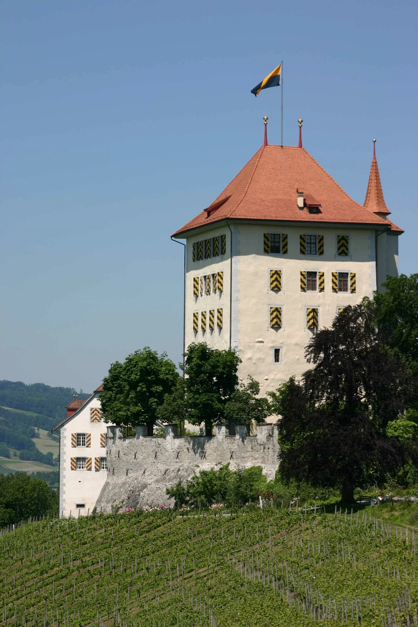 Schloss Heidegg