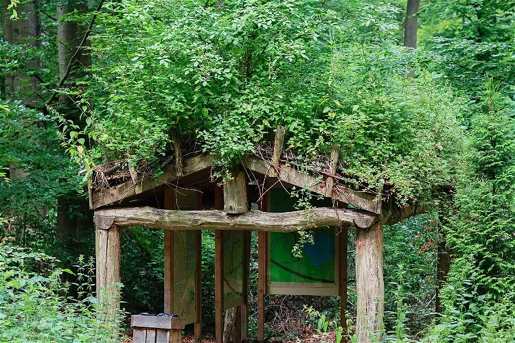Wildwald Voßwinkel