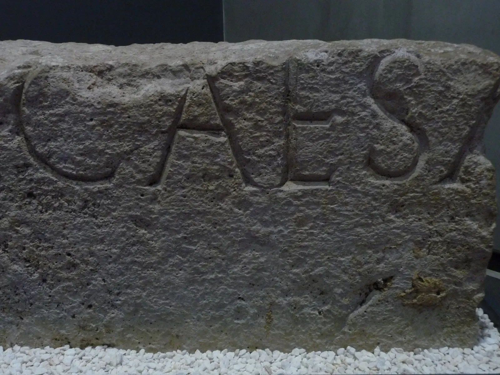 Museo de Prehistoria y Arqueología de Cantabria