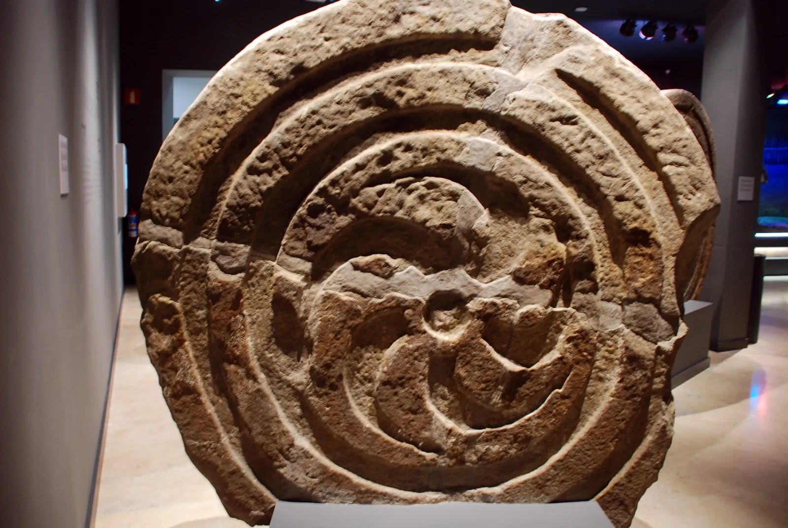 Museum of Prehistory and Archaeology of Cantabria