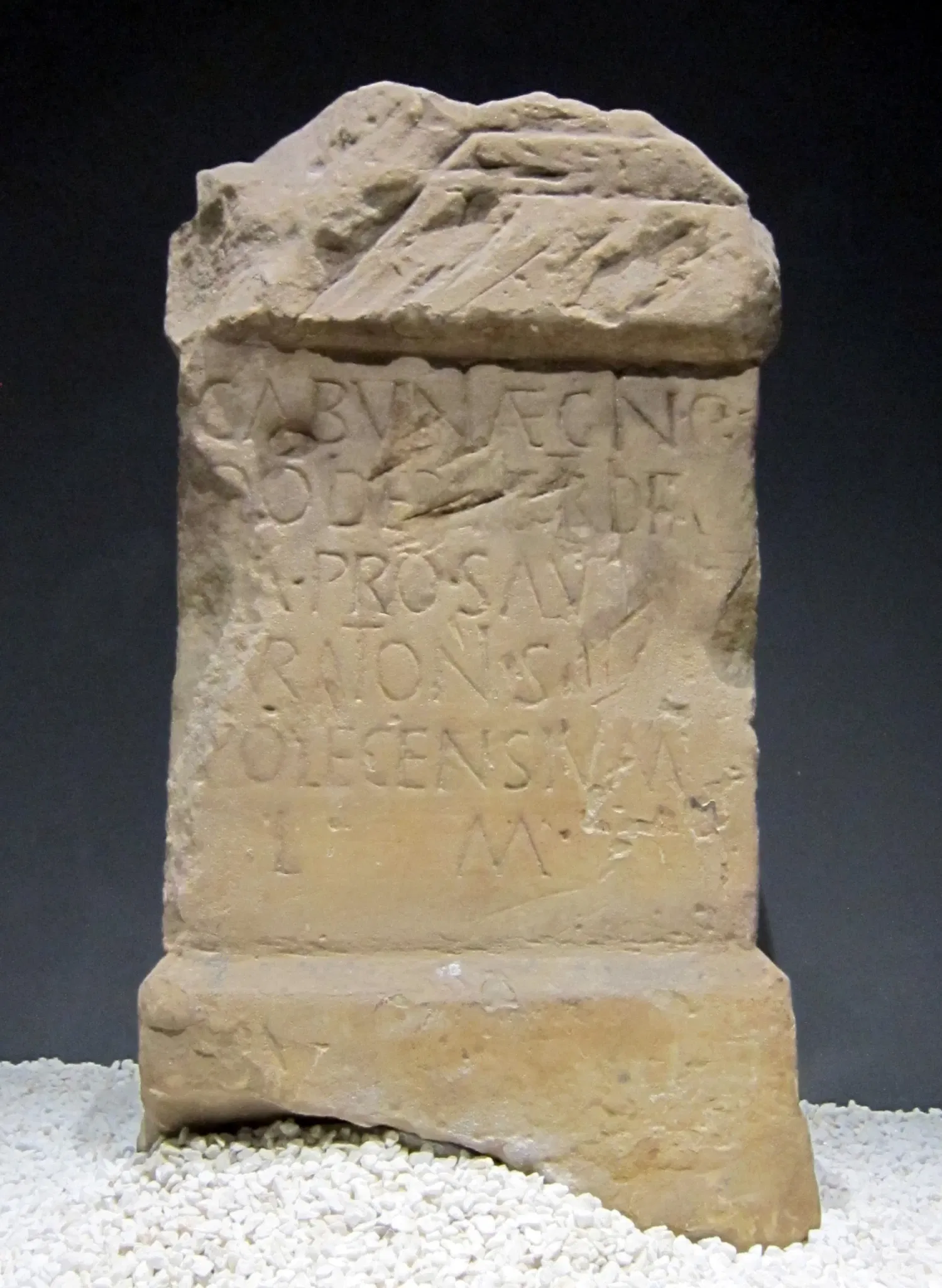 Museum of Prehistory and Archaeology of Cantabria