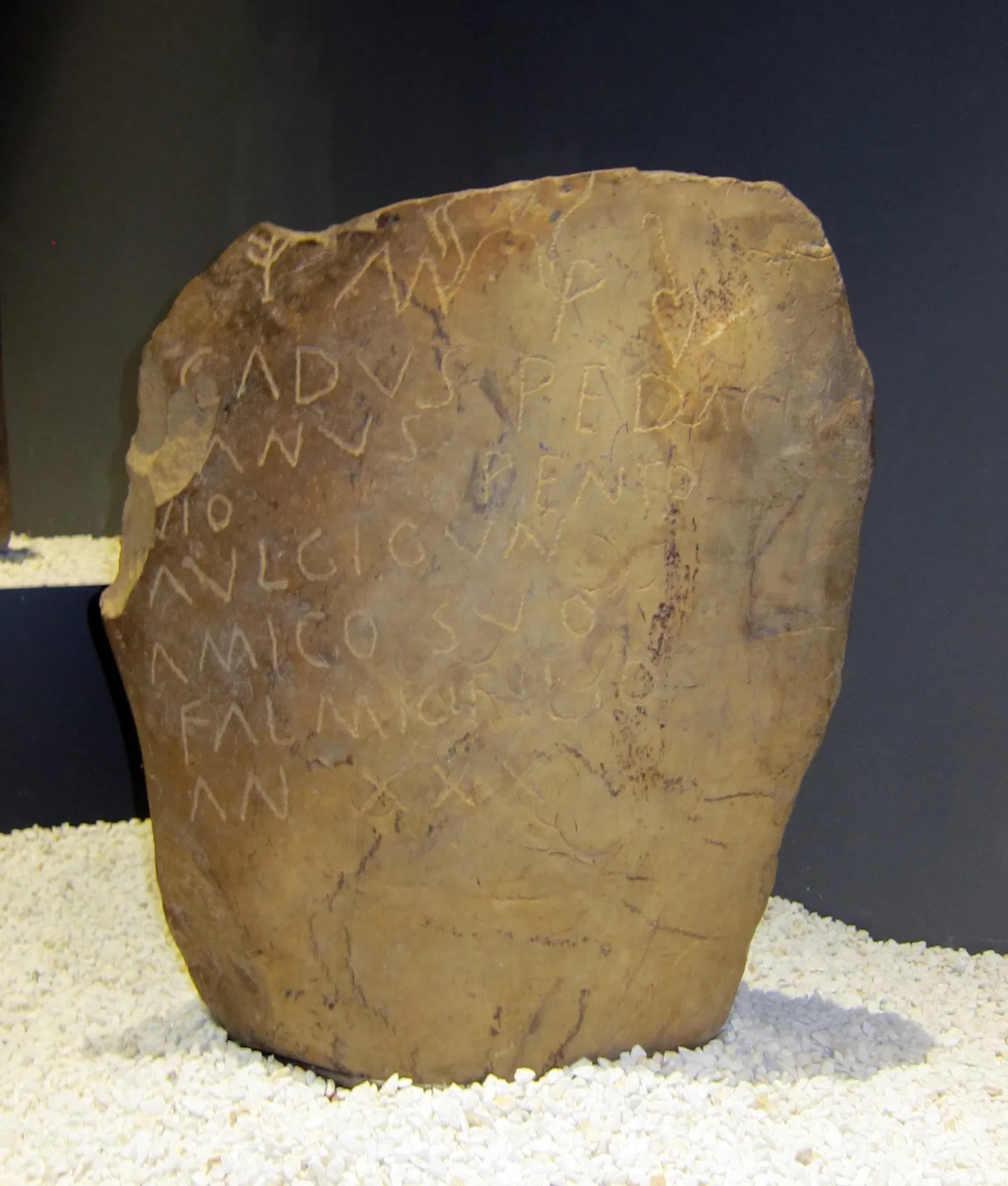 Museum of Prehistory and Archaeology of Cantabria