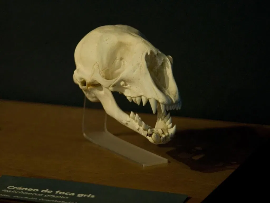 Museo Marítimo del Cantábrico