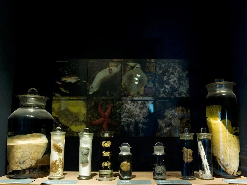 Cantabrian Maritime Museum