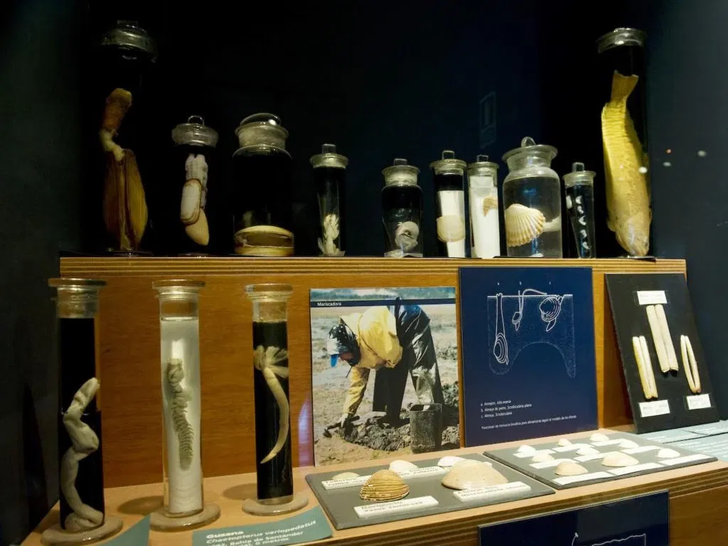 Cantabrian Maritime Museum