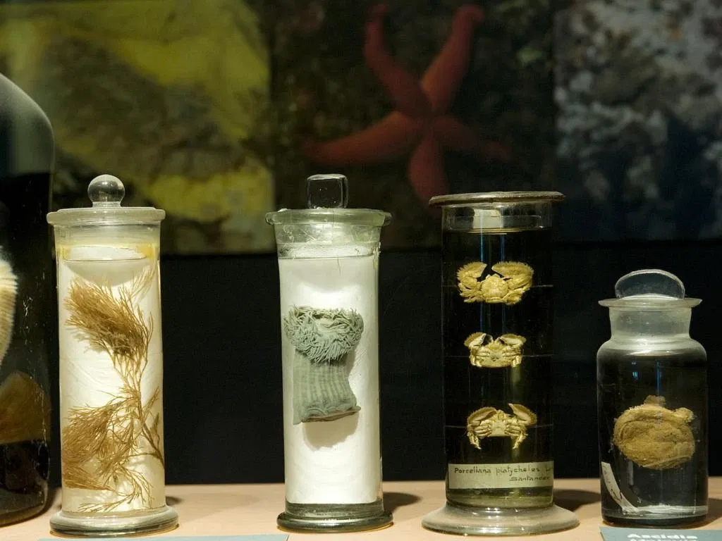 Museo Marítimo del Cantábrico