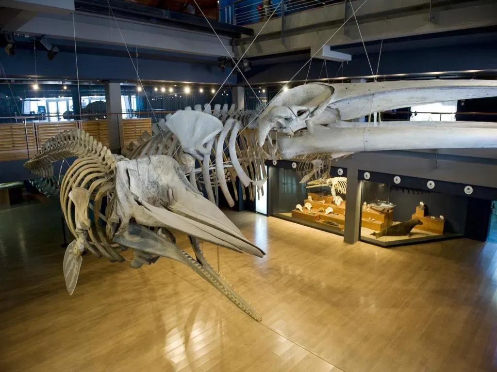 Cantabrian Maritime Museum