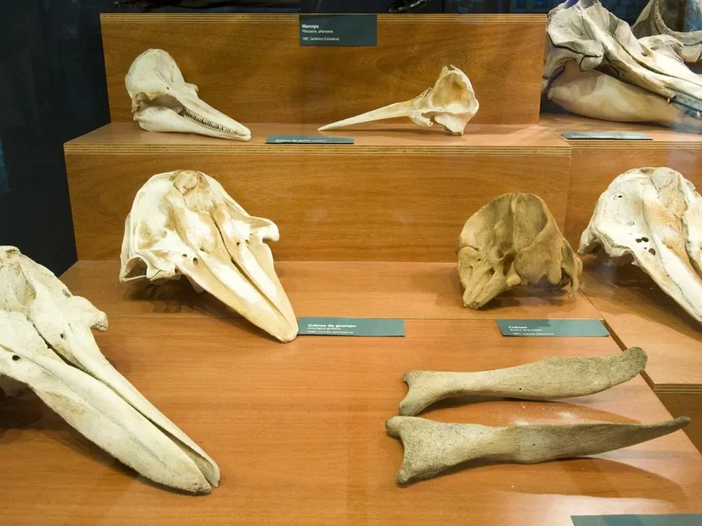 Museo Marítimo del Cantábrico