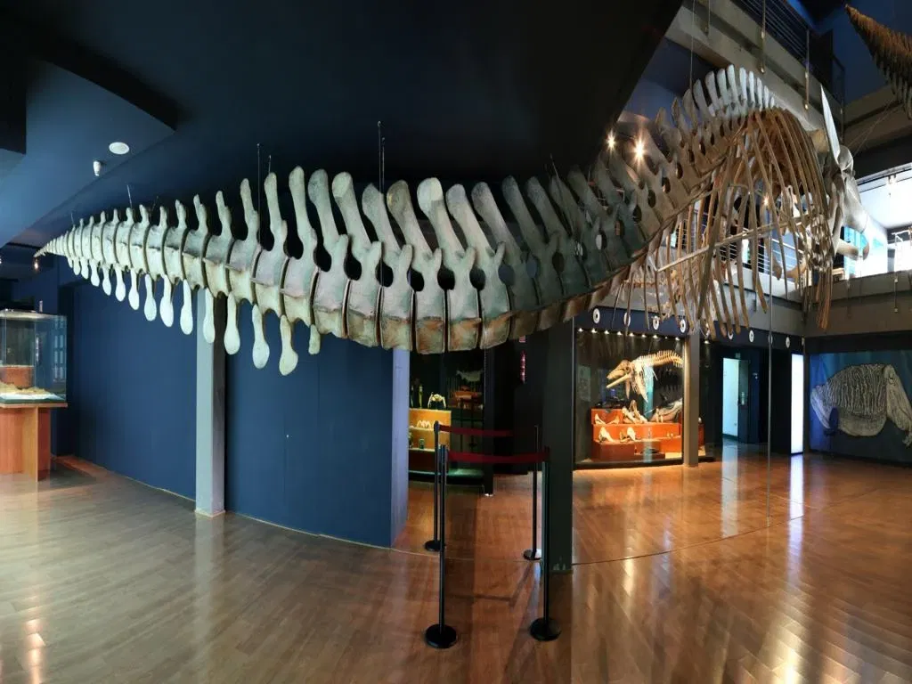 Museo Marítimo del Cantábrico