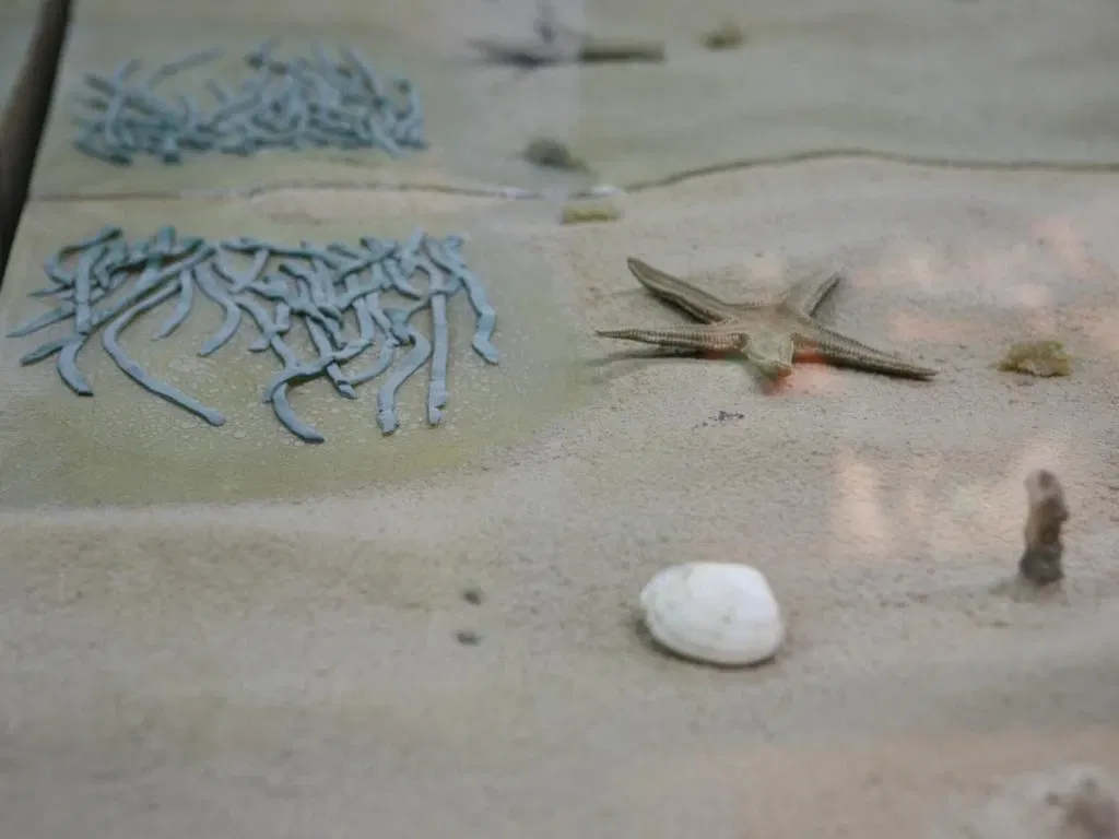 Cantabrian Maritime Museum