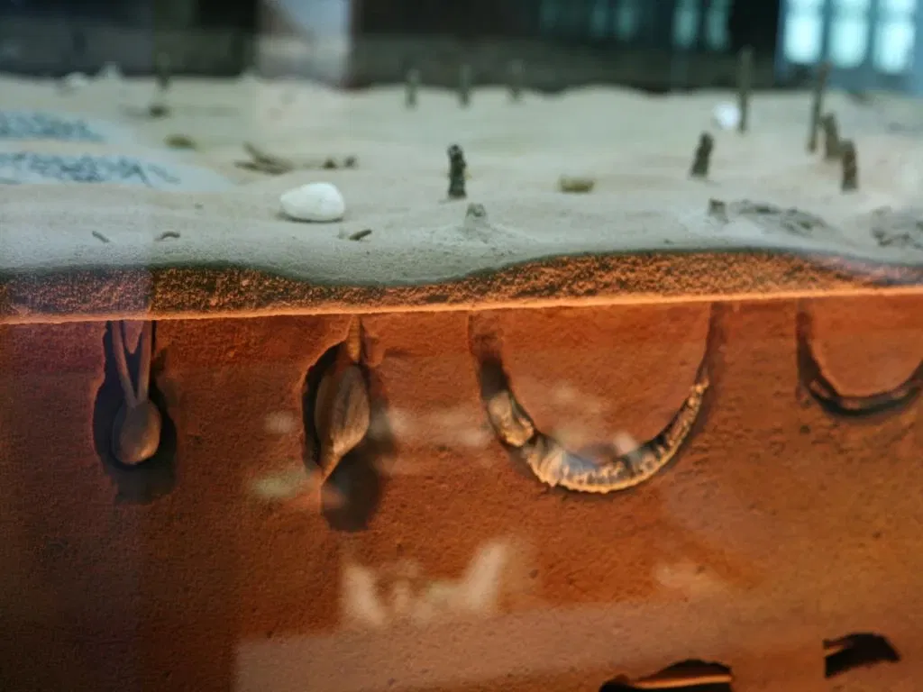 Cantabrian Maritime Museum