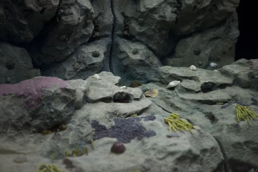 Cantabrian Maritime Museum