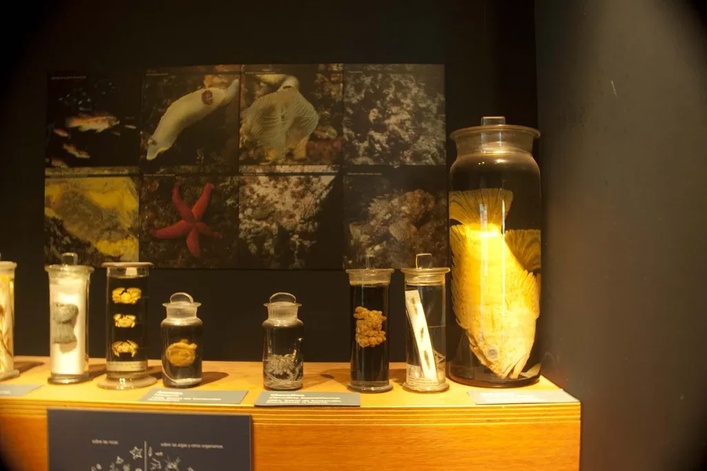 Museo Marítimo del Cantábrico