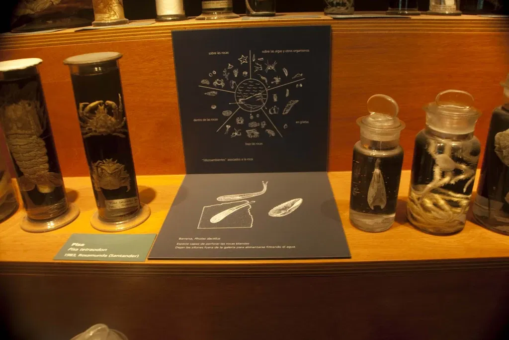 Museo Marítimo del Cantábrico