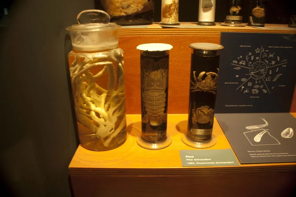 Cantabrian Maritime Museum